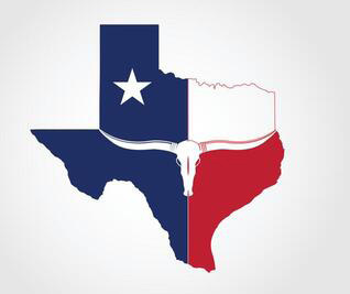 Texas Map Icon